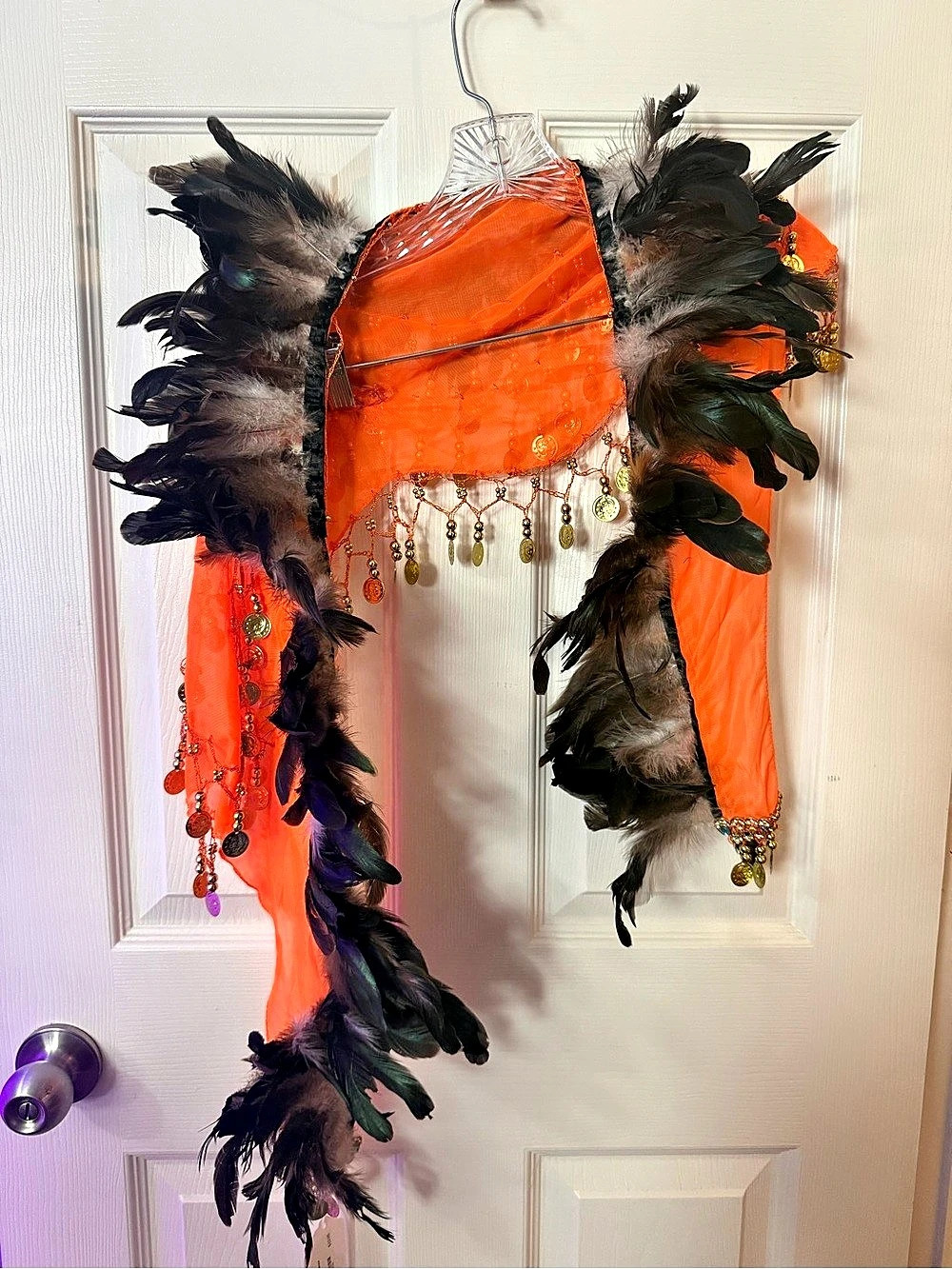 Feather & Coin Costume in Orange & Black
